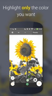 Paletta - Captura de pantalla de presentación de color inteligente