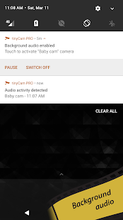 tinyCam PRO - Navaja suiza para monitorear la captura de pantalla de la cámara IP