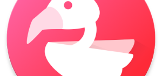 Flamingo para Twitter v20.0.4 parcheado [Latest]