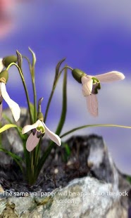 Nature Live❁ Spring Flowers XL Captura de pantalla