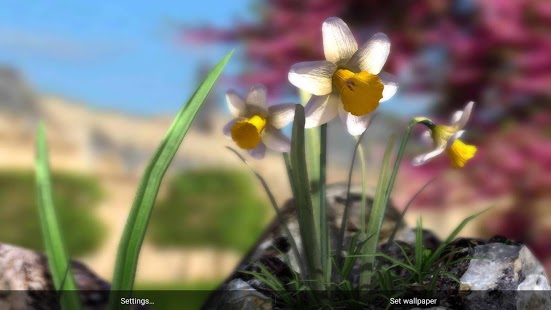 Nature Live❁ Spring Flowers XL Captura de pantalla