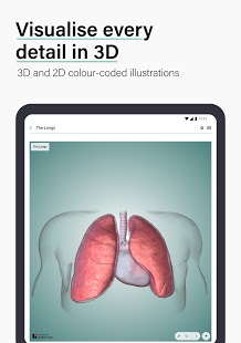 Enséñame anatomía: captura de pantalla de cuestionarios clínicos y del cuerpo humano en 3D