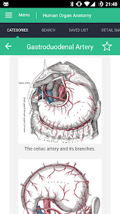 Captura de pantalla de la guía de referencia de anatomía de órganos humanos